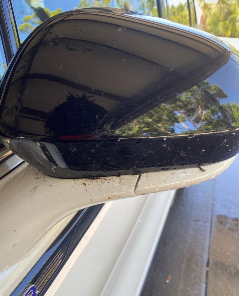 FULL EXTERIOR/INTERIOR DETAIL